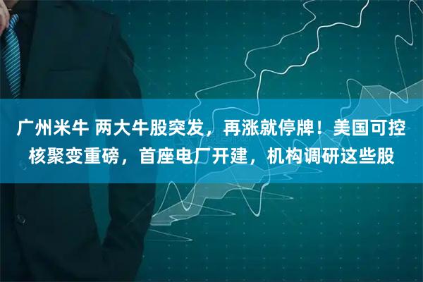 广州米牛 两大牛股突发，再涨就停牌！美国可控核聚变重磅，首座电厂开建，机构调研这些股